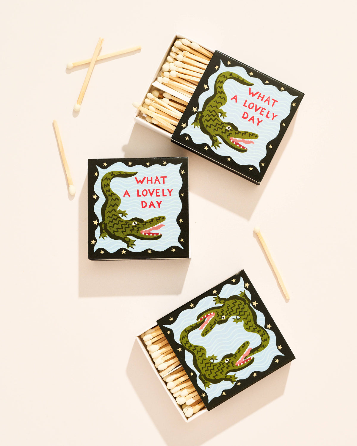What A Lovely Day Alligator Matchbox