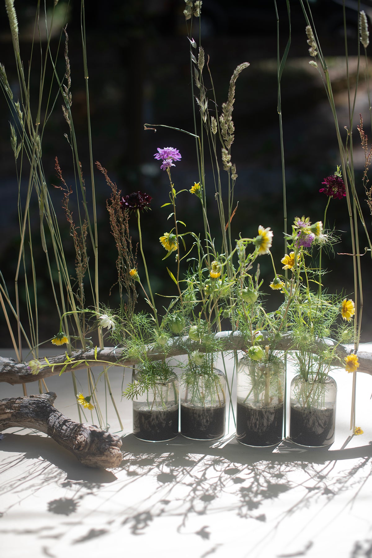 Workshop: Holiday Bud Vase Table Arrangements