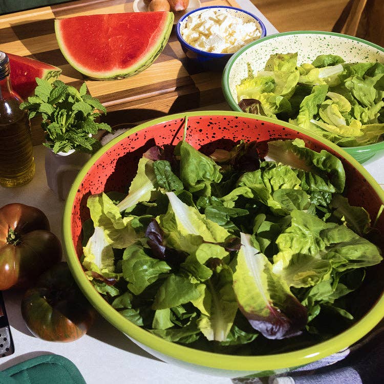 The Very Big Bowl - Watermelon